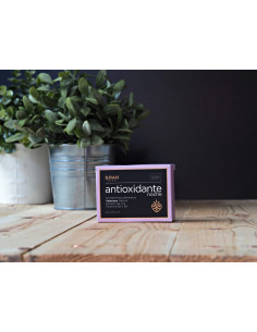 GOAH ANTIOXIDANTE NOCHE 60CÁPS