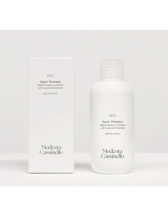 MODESTA CASSINELLO H02...