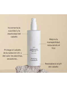 MODESTA CASSINELLO H08...