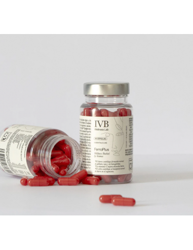 IVB FERROPLUS 90 CAPS
