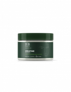 IVB Creatine Essential 300 Gr