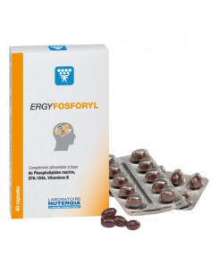 NUTERGIA ERGYFOSFORYL 60...